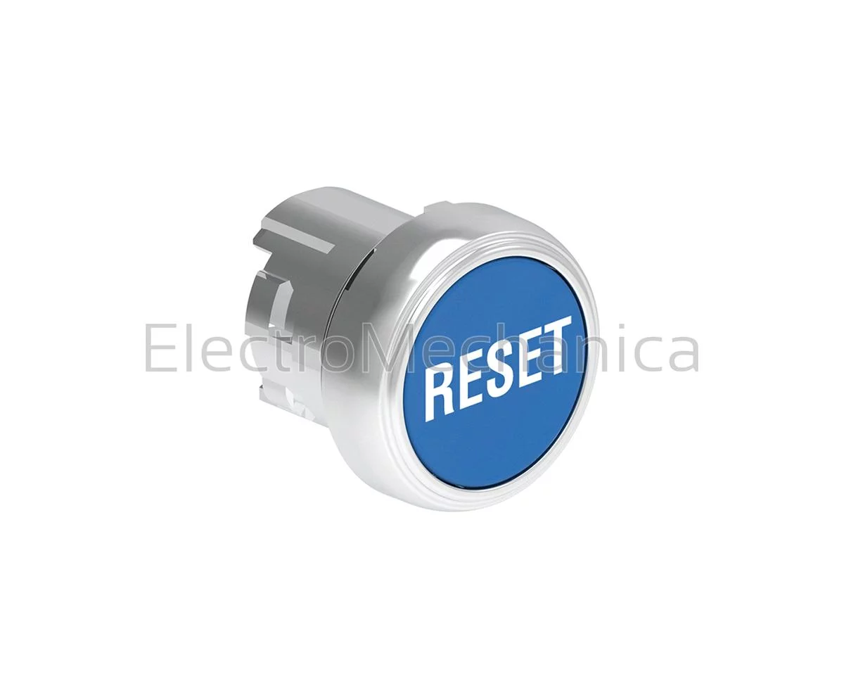 BLU "RESET" FLUSH MOMENT. P/BUTTON ACT.