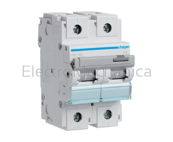 100A 2P 15KA D-CURVE MCB