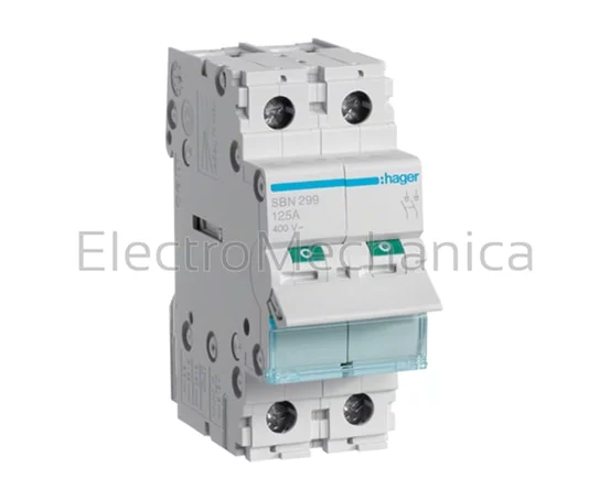 125A 2P MAIN ISOLATOR SWITCH