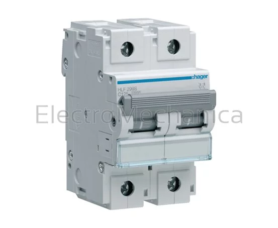 100A 2P 10KA C-CURVE MCB