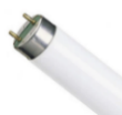 T8 BASIC FLUORESCENT 18W COOL WHITE