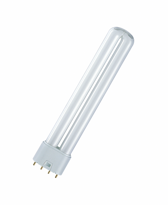 CFL PIN DULUX L 36W COOL WHITE 2G11